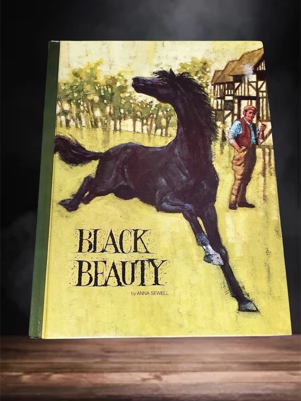 Vintage 1970s Black Beauty Hardcover Educator Classic